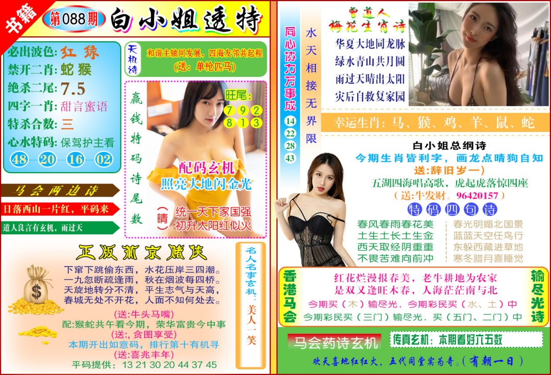 088期澳门白小姐透特[图]